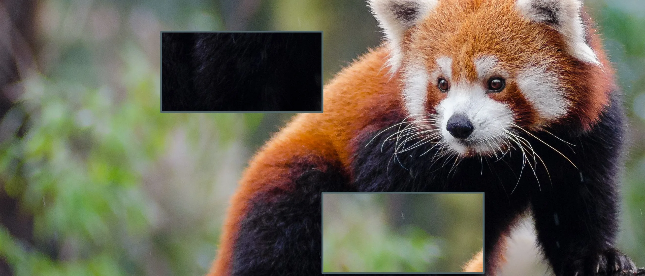 Devlog banner for Infograf Puzzle: NEW PUZZLES